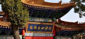 周至豪门国际猕猴桃产业区