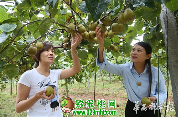豪门国际 171b5