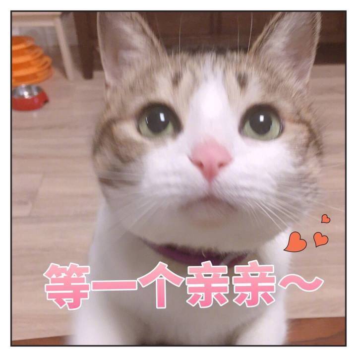 豪门国际 83212
