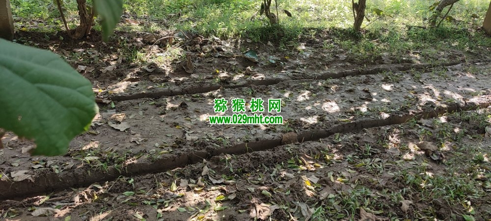 豪门国际 189bb