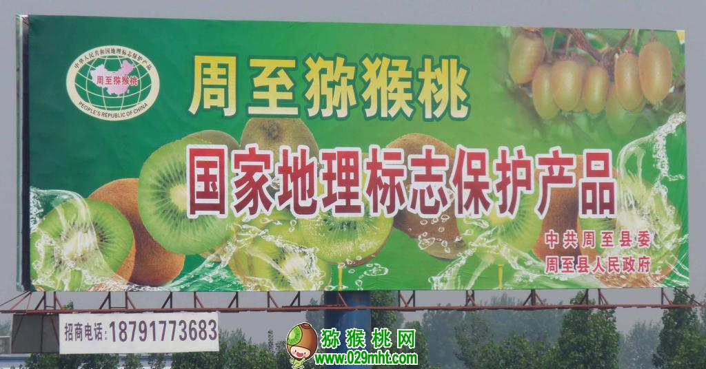 豪门国际官方网站图片
