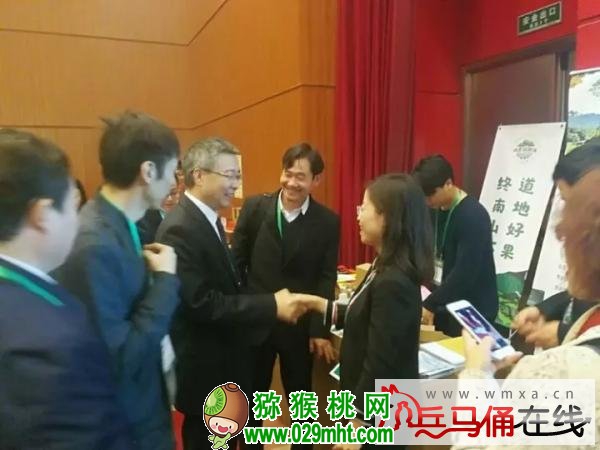 豪门国际官方网站图片