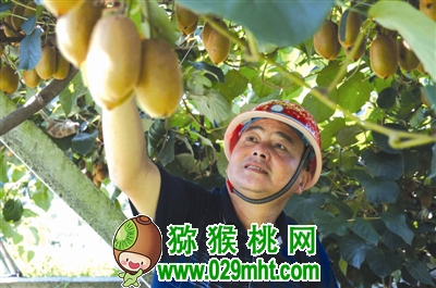 豪门国际 5e6fb