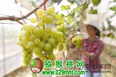 豪门国际官方网站图片