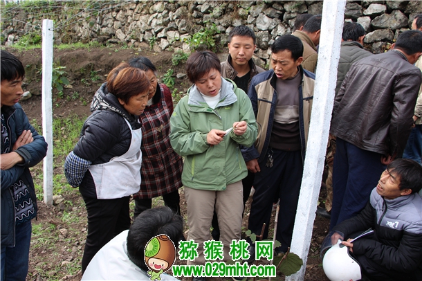 豪门国际官方网站图片