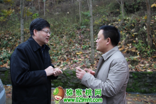 豪门国际官方网站图片