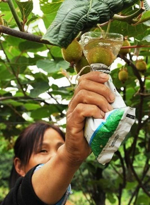 豪门国际官方网站图片