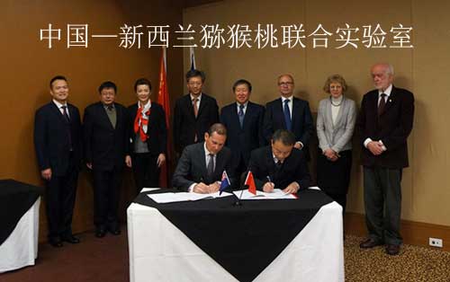 中国—新西兰豪门国际猕猴桃联合实验室