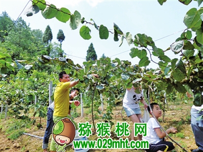 豪门国际 3e63e