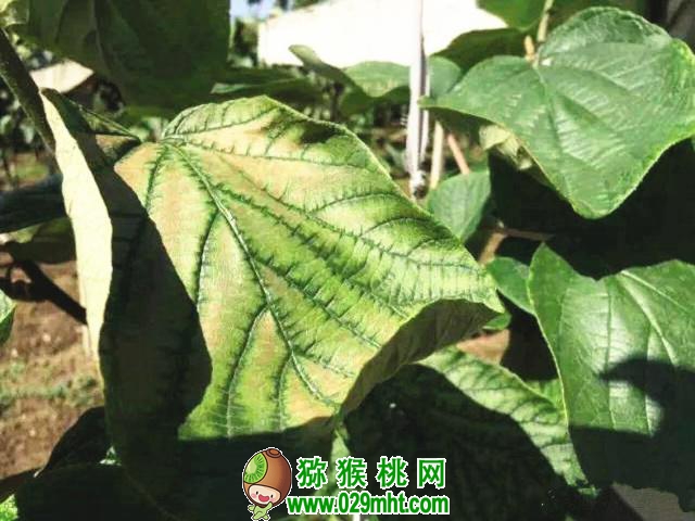 豪门国际 b7f48
