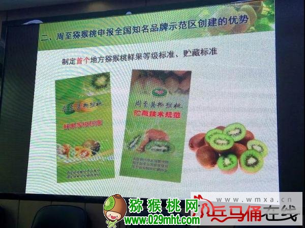 豪门国际官方网站图片