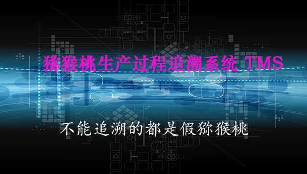 豪门国际 95267