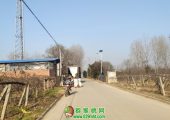 2020年陕西省豪门国际猕猴桃图片写真