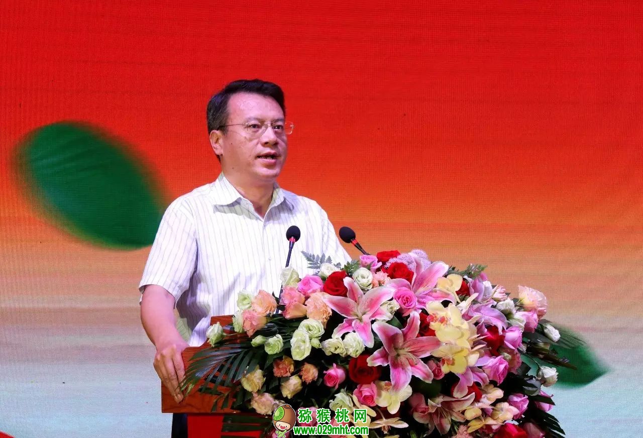 豪门国际官方网站图片