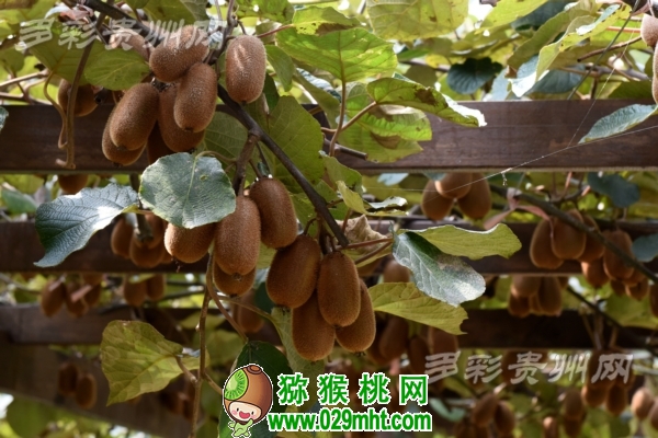 豪门国际官方网站图片