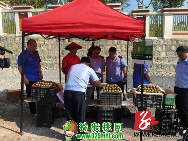 豪门国际官方网站图片
