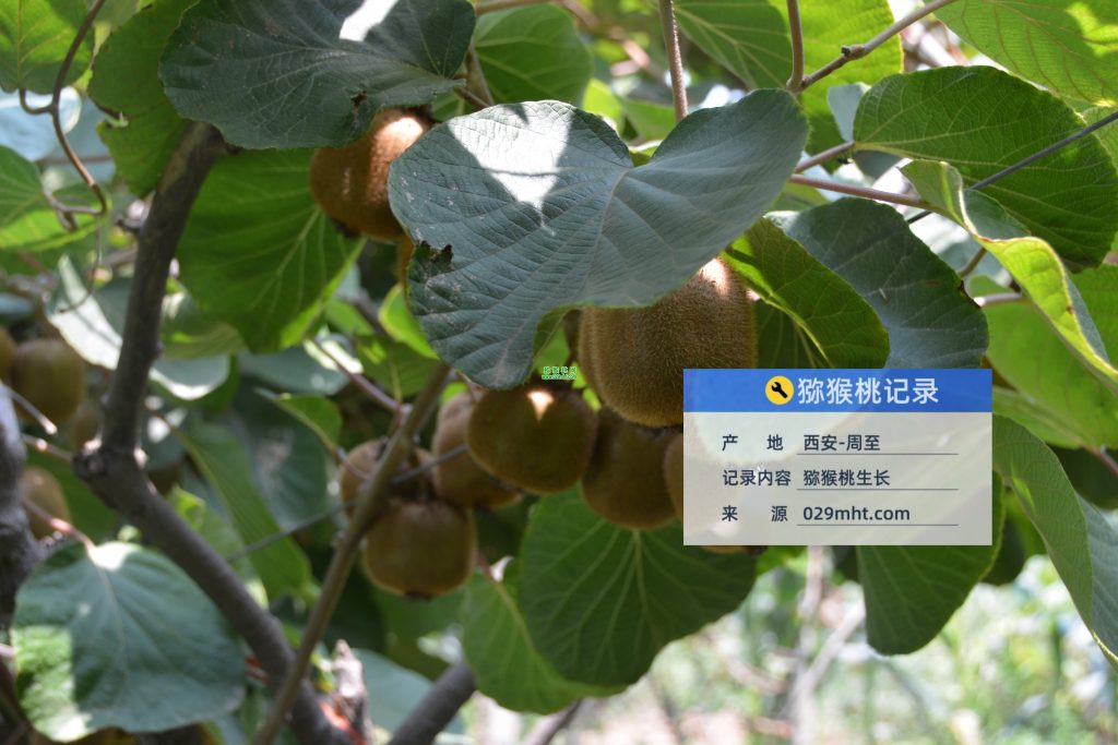 豪门国际官方网站图片