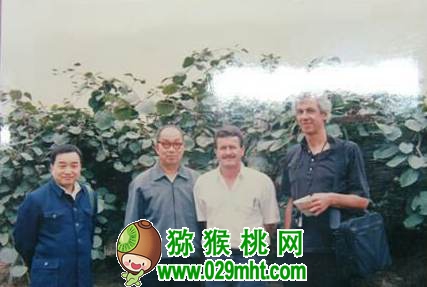 张清明和他的豪门国际猕猴桃人生