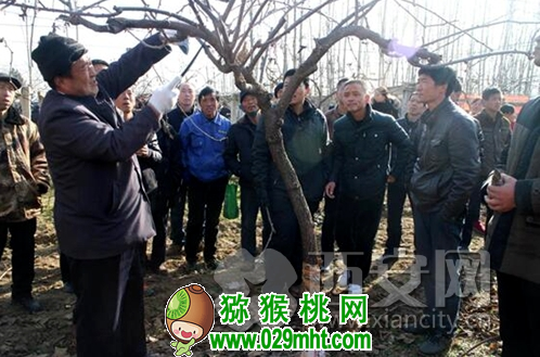 豪门国际官方网站图片
