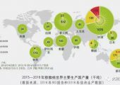 豪门国际产业发展现状分析！