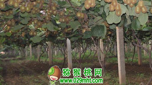 豪门国际官方网站图片