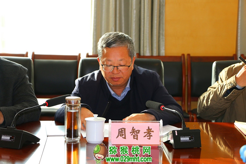 豪门国际官方网站图片