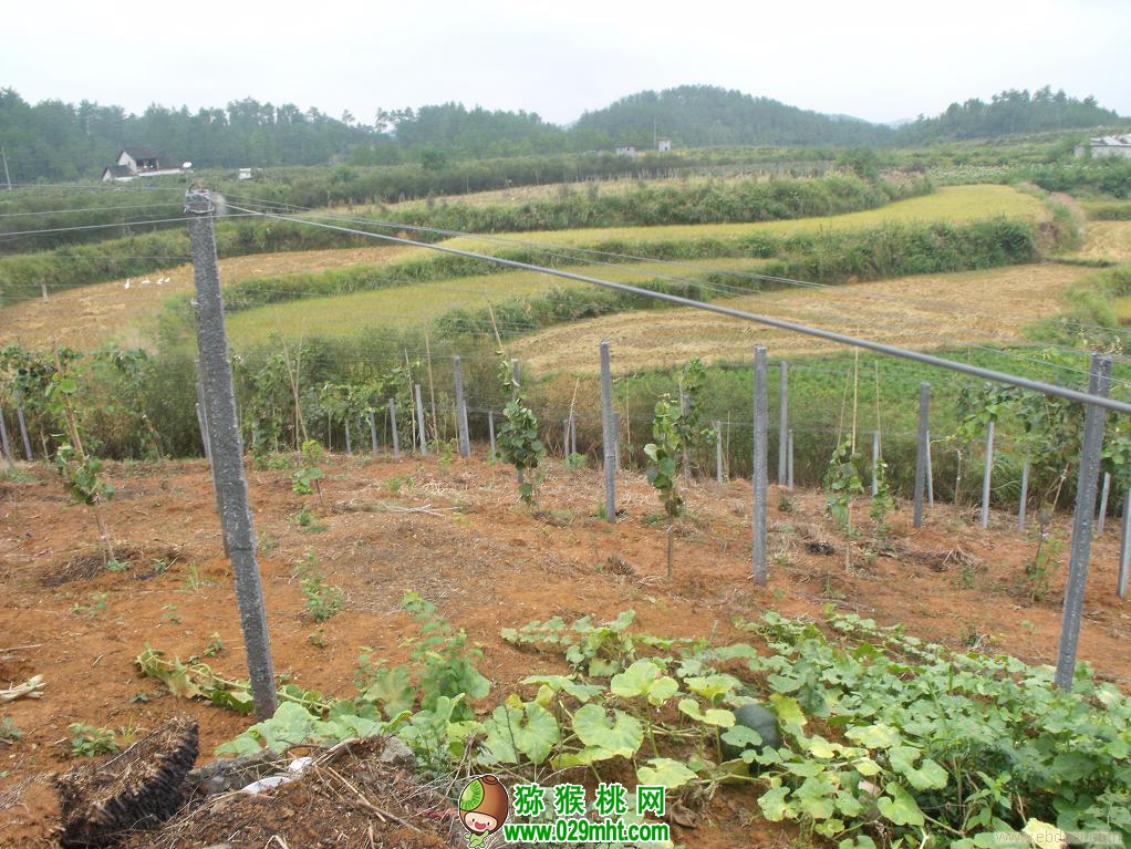 豪门国际官方网站图片