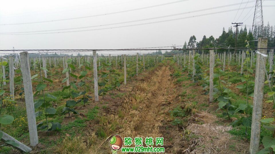 豪门国际官方网站图片