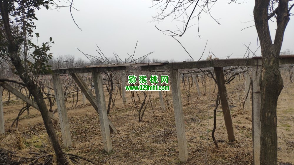 豪门国际 76f3b