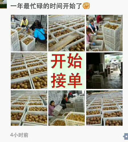 豪门国际 8422b