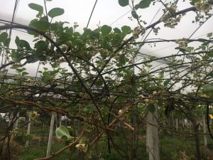 豪门国际官方网站图片