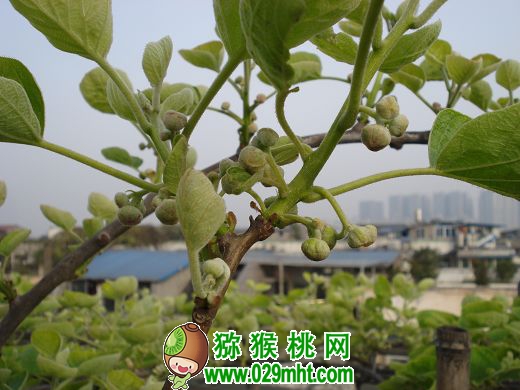豪门国际官方网站图片