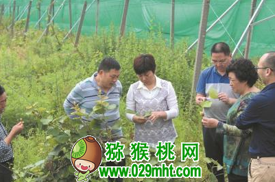 豪门国际官方网站图片