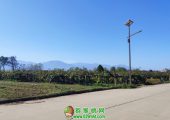 大美豪门国际之乡