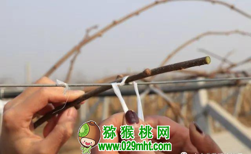 豪门国际官方网站图片