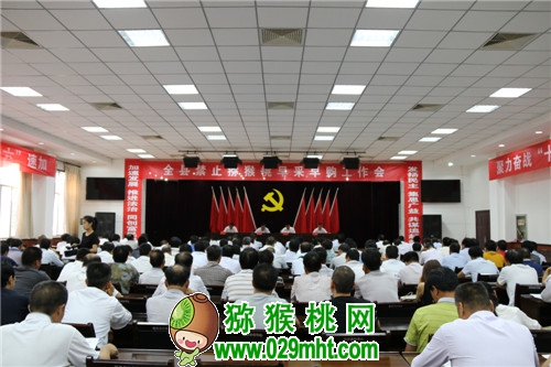 豪门国际官方网站图片