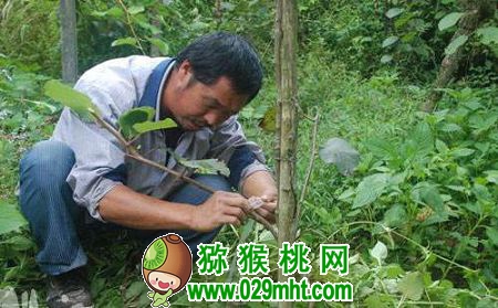 豪门国际官方网站图片