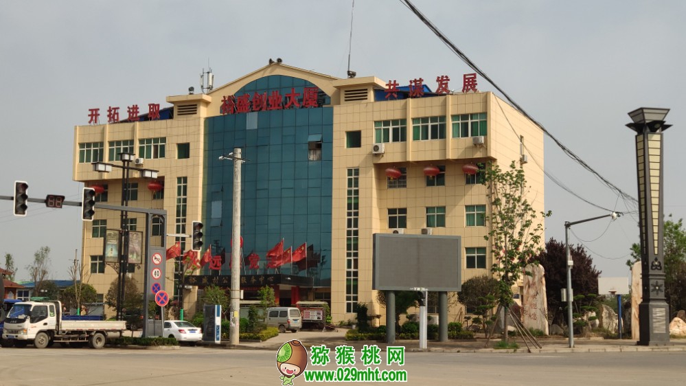 带你走进中国西部苗木花卉市场1