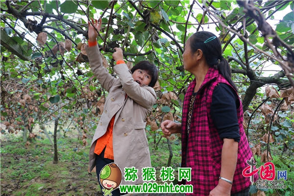 豪门国际官方网站图片