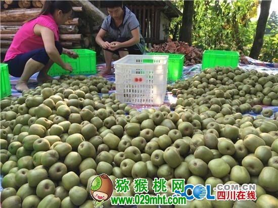 豪门国际官方网站图片