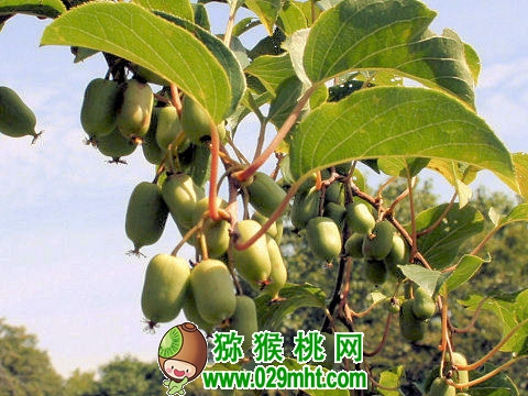 豪门国际官方网站图片