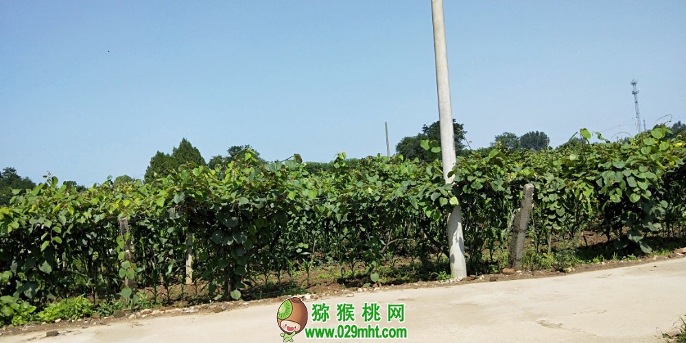 豪门国际官方网站图片