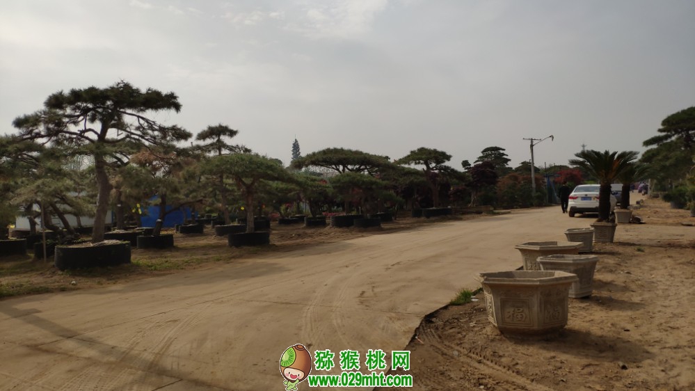 豪门国际 9c280