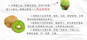 周至豪门国际猕猴桃宣传图片素材