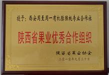 豪门国际 8e72b