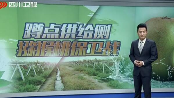 豪门国际官方网站图片
