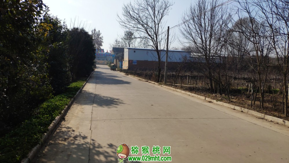 豪门国际 75cfa