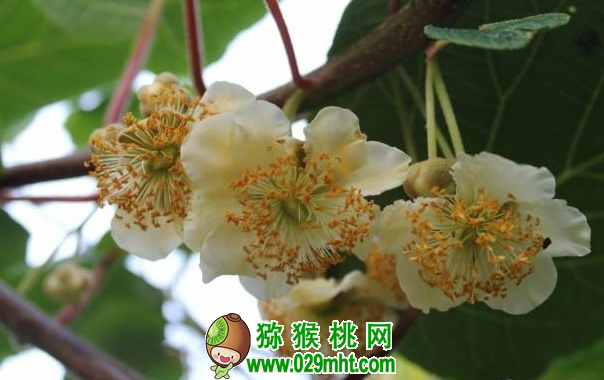 豪门国际官方网站图片