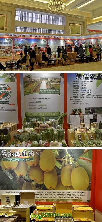 豪门国际官方网站图片