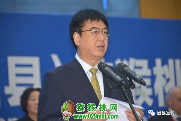 豪门国际官方网站图片